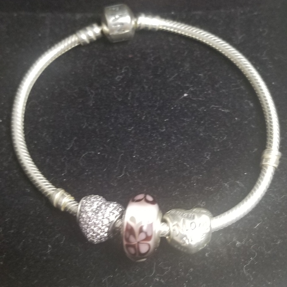 ‼SALE‼[NWOT] Pandora Bracelet Set with Charms